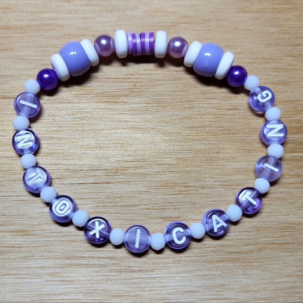 The Way I Loved You- Taylor Swift Friendship Bracelet, Size 8"